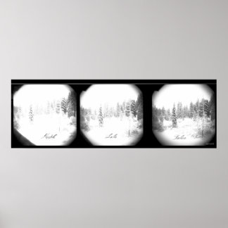 Serene Sierra Snowstorm Poster