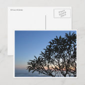serene silhouet briefkaart (Voorkant / Achterkant)