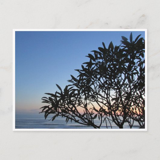 serene silhouet briefkaart (Voorkant)