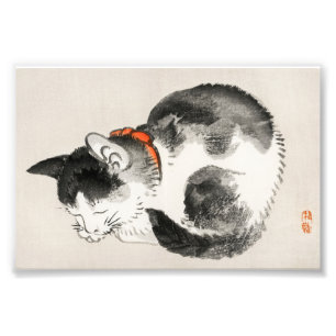 Serene Slumber: Slaande Kat door Kōno Bairei Foto Afdruk