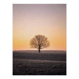 Serene Solitude: Winter Sunrise Lone Tree - Minima Perfect Poster