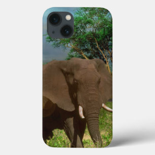 Serene Strength: The Bull Elephant Grazing Case-Mate iPhone Case