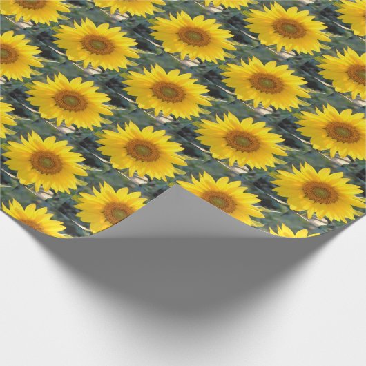 Serene Sunflower Cadeaupapier (Hoek)