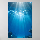 Serene Sunlit Coral Reef Poster (Voorkant)