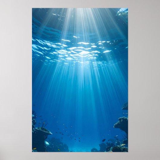 Serene Sunlit Coral Reef Poster (Voorkant)