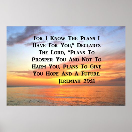 SERENE SUNRISE JEREMIAH 29:11 BIBLIOTHEEK POSTER (Voorkant)