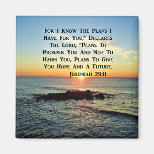 SERENE SUNRISE JEREMIAH 29:11 ONTWERP VAN SCHERPEN MAGNEET