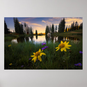 Serene Sunrise over een Colorado Pond Poster