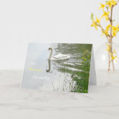 Serene Swan & Dragonfly Sympathie Wenskaart Kaart (Gele Bloem)