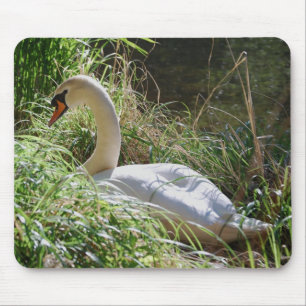 Serene Swan Mousepad Muismat