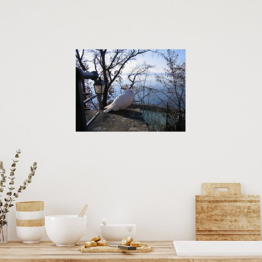 serene vergetelheid poster (Keuken)