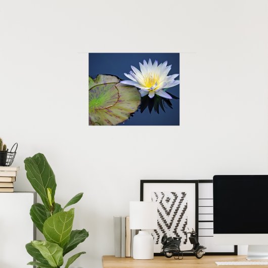 Serene Water Lily Poster (Thuiskantoor)