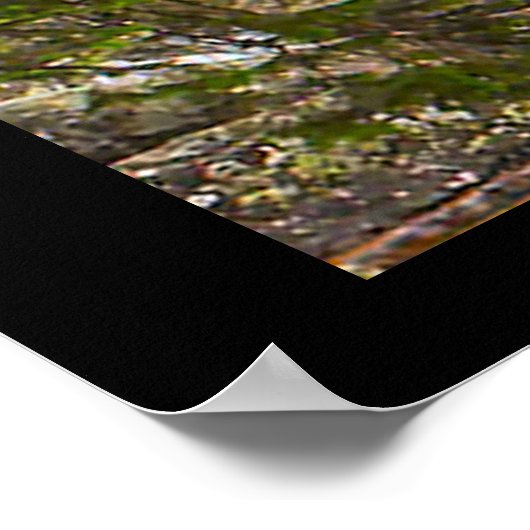 Serene Waterfall Poster - High Tatras Slowakije (Hoek)