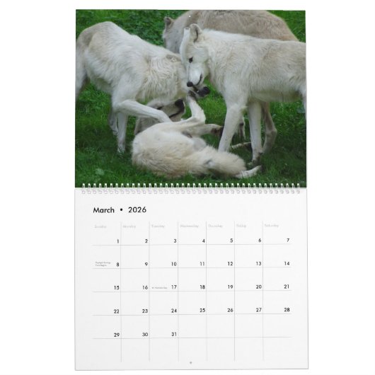 Serene Wolves Kalender (Mar 2026)
