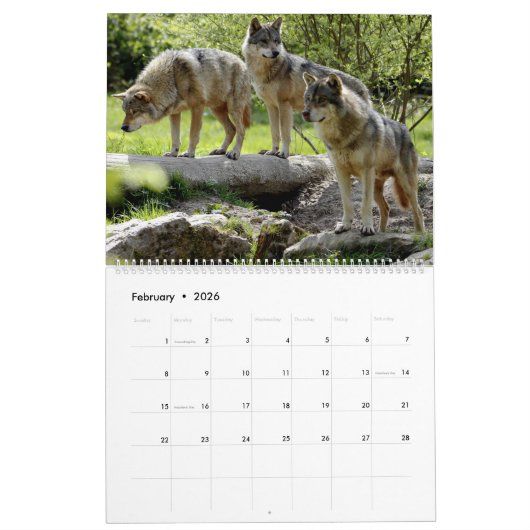 Serene Wolves Kalender (Feb 2026)