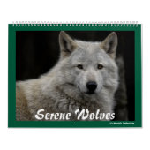 Serene Wolves Kalender (Hoes)