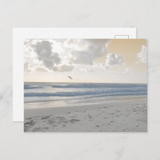 Serene Zee Briefkaart (Voorkant / Achterkant)