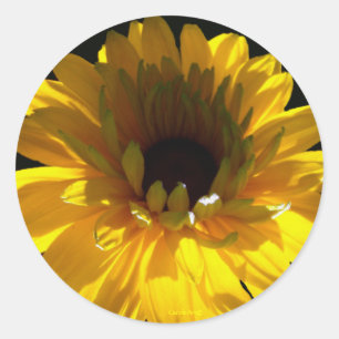 Serene Zonnebloem Ronde Sticker