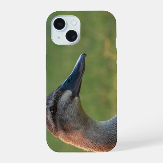 Serene Zonsondergang Silhouet iPhone 15 Case (Achterkant)