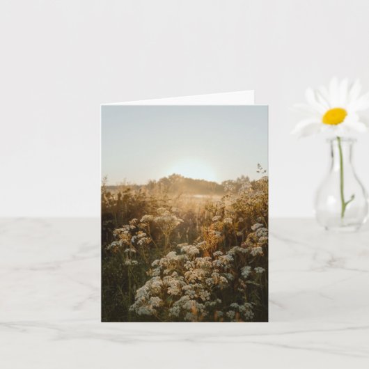 Serene zonsopgangweide kaart (Kleine Plant)