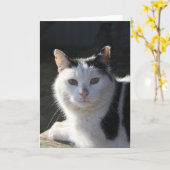 SereneCat Kaart (Gele Bloem)