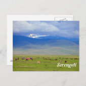 Serengeti Briefkaart (Voorkant / Achterkant)