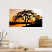 Serengeti in de stad poster (Keuken)