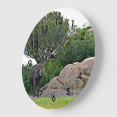 Serengeti Kopje - Tanzania, Afrika Grote Klok (Hoek)