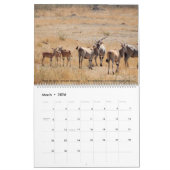 Serengeti mag geen kalender van twee bladzijden st (Mar 2026)