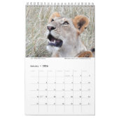 Serengeti mag niet in de kalender sterven (Jan 2026)