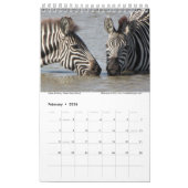 Serengeti mag niet in de kalender sterven (Feb 2026)