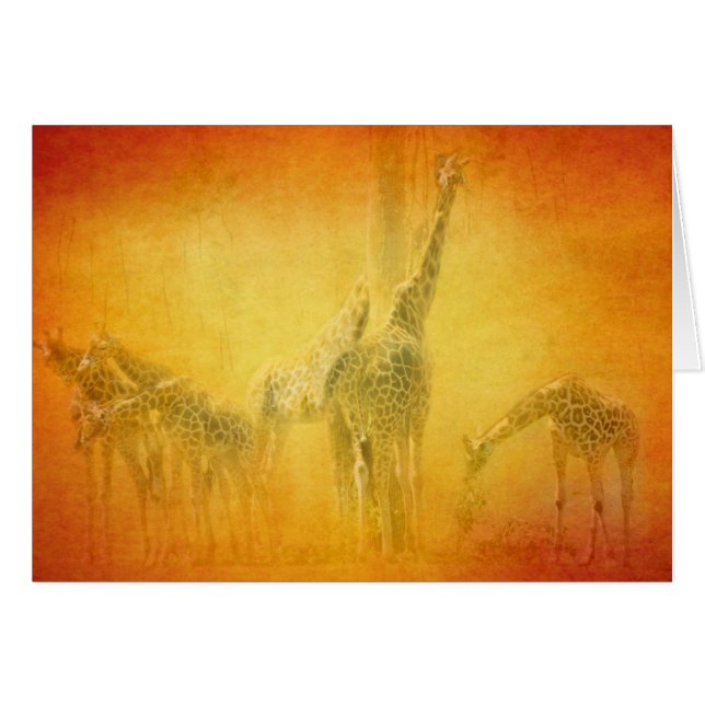 SERENGETI MOODS GREETIN CARD (Voorkant Horizontaal)