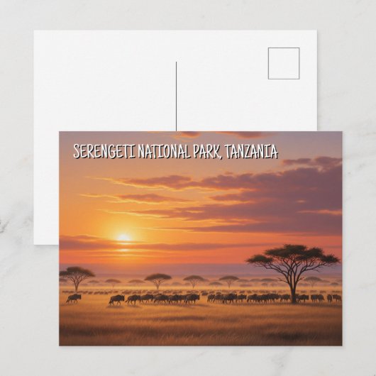 Serengeti Nationaal Park Tanzania Briefkaart (Voorkant / Achterkant)