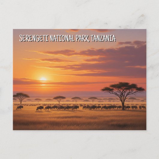 Serengeti Nationaal Park Tanzania Briefkaart (Voorkant)