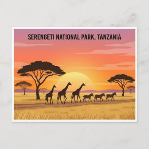 Serengeti Nationaal Park Zonsondergang Reisansicht Briefkaart