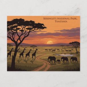 Serengeti National Park Zonsondergang Reisansichtk Briefkaart