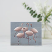 Serengeti Pink Flamingos | safari in het wild Briefkaart (Staand voorkant)