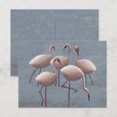 Serengeti Pink Flamingos | safari in het wild Briefkaart (Voorkant / Achterkant)