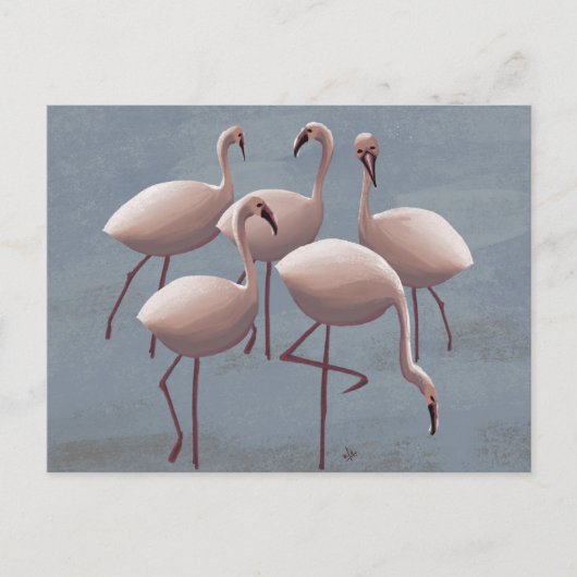 Serengeti Pink Flamingos | safari in het wild Briefkaart (Voorkant)