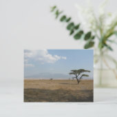 Serengeti Plains Briefkaart (Staand voorkant)
