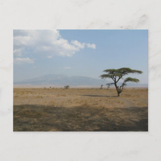 Serengeti Plains Briefkaart