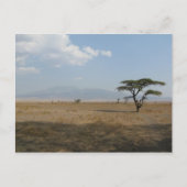 Serengeti Plains Briefkaart (Voorkant)