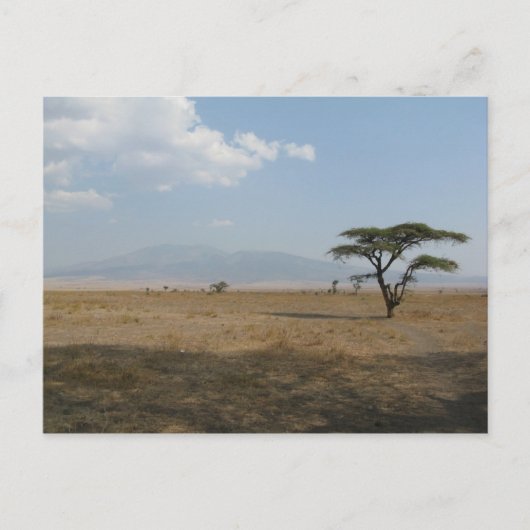 Serengeti Plains Briefkaart (Voorkant)