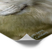 Serengeti Spirit Art Poster/Afdruk Poster (Hoek)