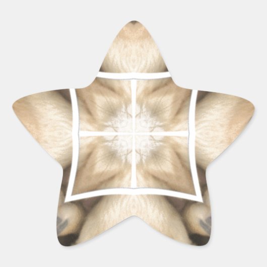 Serengeti Splendor: Levendige Dierlijke Verberg Ar Ster Sticker (Voorkant)