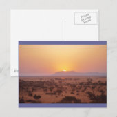 Serengeti Sunset Briefkaart (Voorkant / Achterkant)