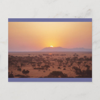 Serengeti Sunset Briefkaart