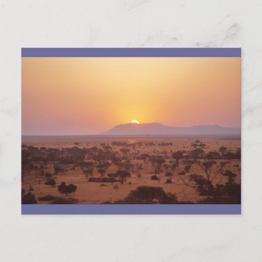 Serengeti Sunset Briefkaart (Voorkant)