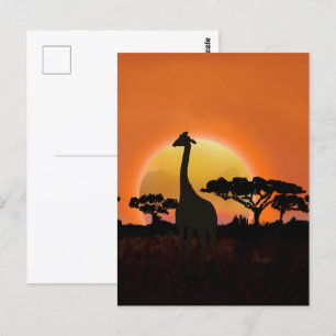 Serengeti Sunset Giraffe   safari in het wild Briefkaart
