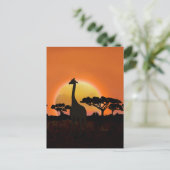 Serengeti Sunset Giraffe | safari in het wild Briefkaart (Staand voorkant)